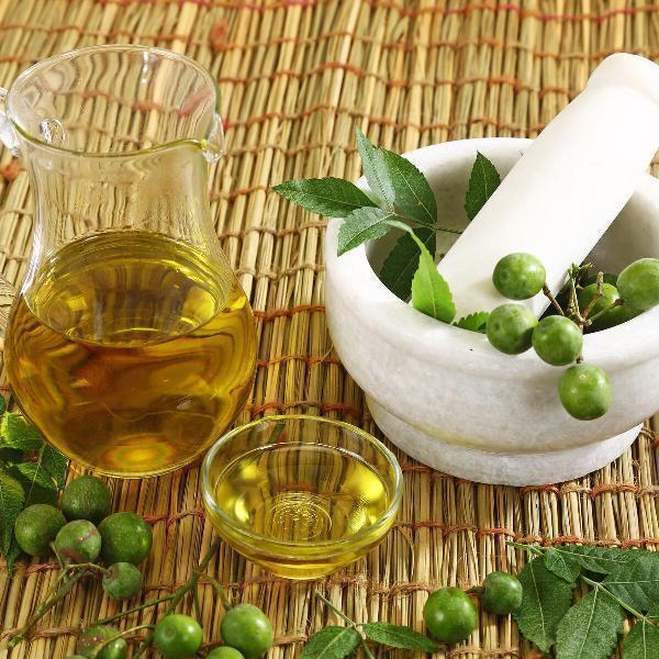 Azadirachtin Market Size, Share, Growth, Opportunities and Global Forecast to 2032