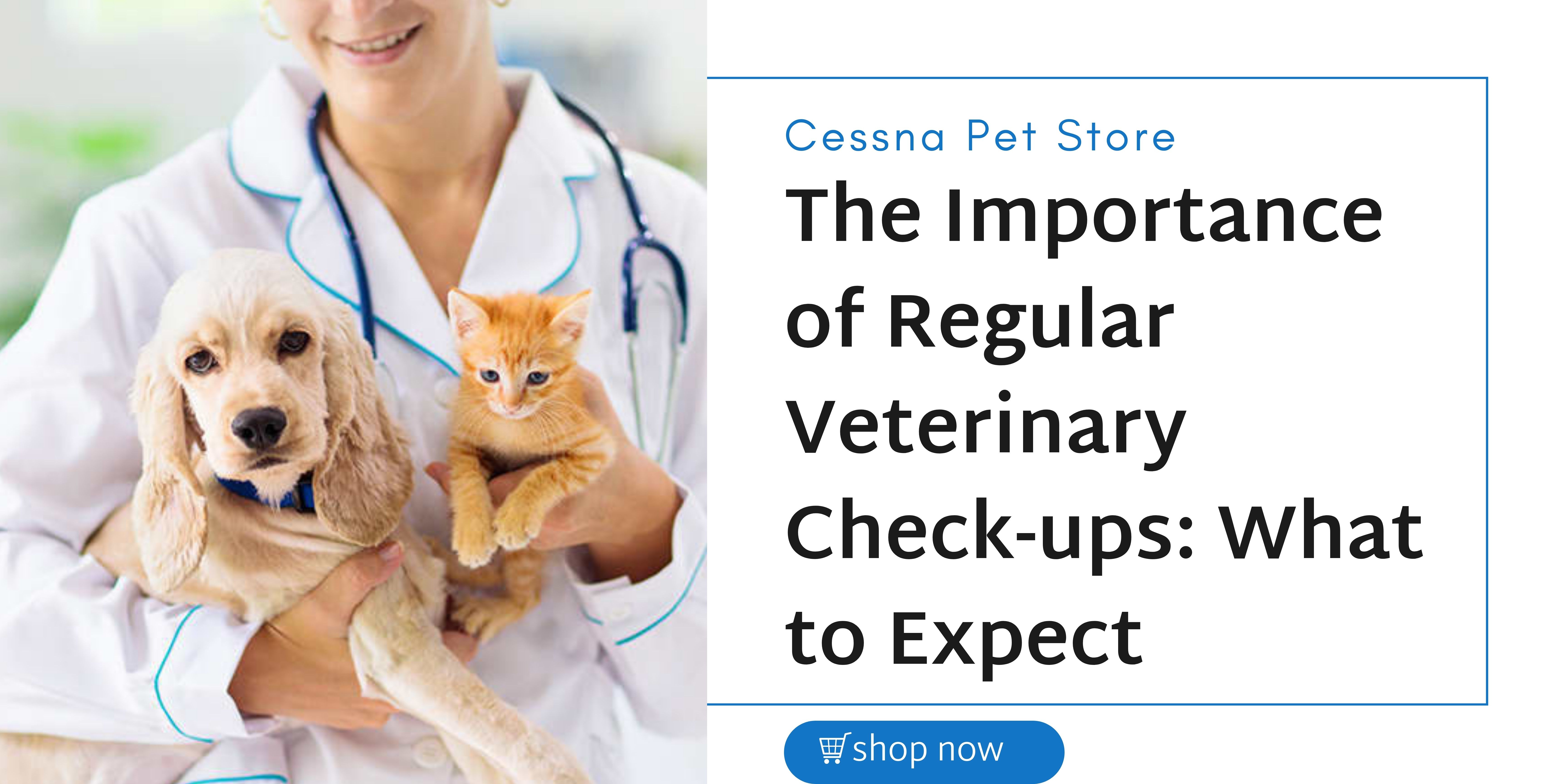 The Importance of Regular Veterinary Check-ups: What to Expect