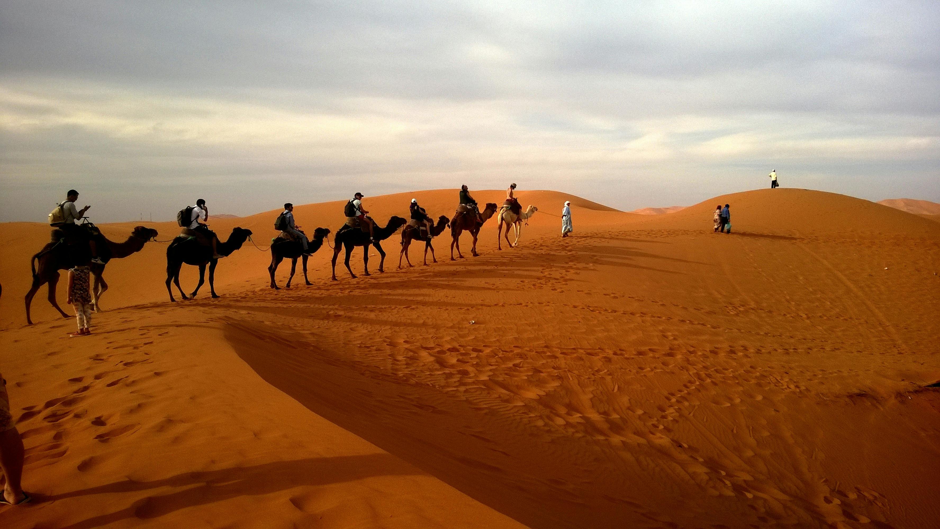 Camel Trekking in the Thar Desert - A Journey Through Time and Sand