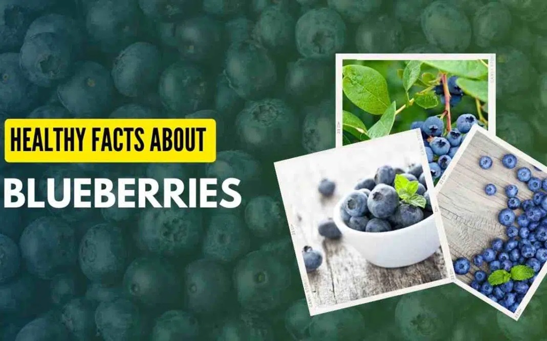 Healthy Facts About Blueberries