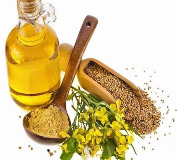 Mustard Oil Prices: During the Quarter Ending December 2023 | ChemAnalyst