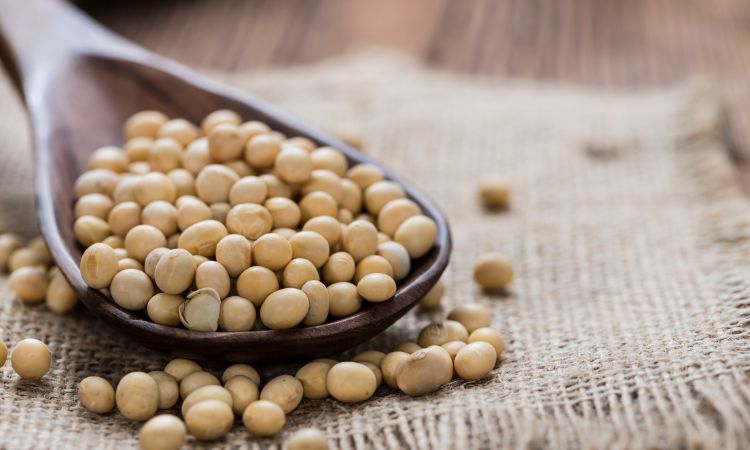 Embracing the Green Wave: The Rise of Soy Protein Ingredient Market in the Food Industry
