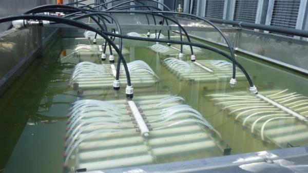 Membrane Bioreactor Market Forecasting the Future: Global Trends (2018-2028)