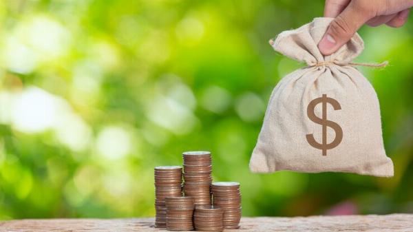 Vietnam Loan Market Fintech Impact: Examining the Role of Fintech Companies