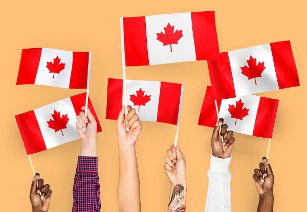 How to Use the NOC to Identify and Classify Job Titles in Canada?