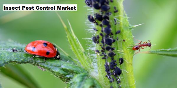 Insect Pest Control Market to Grow with a CAGR of 6.58% through 2029