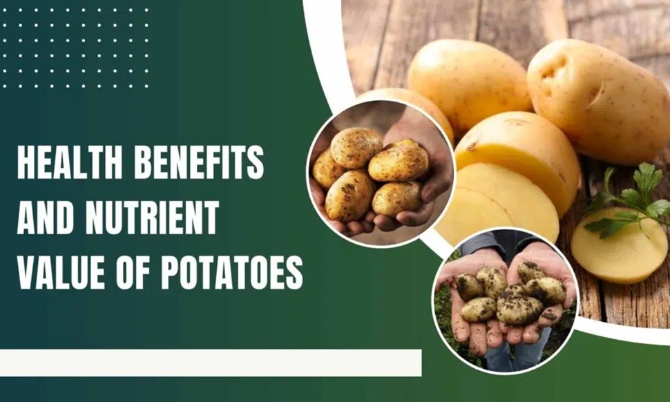 Health Benefits and Nutrient Value of potatoes