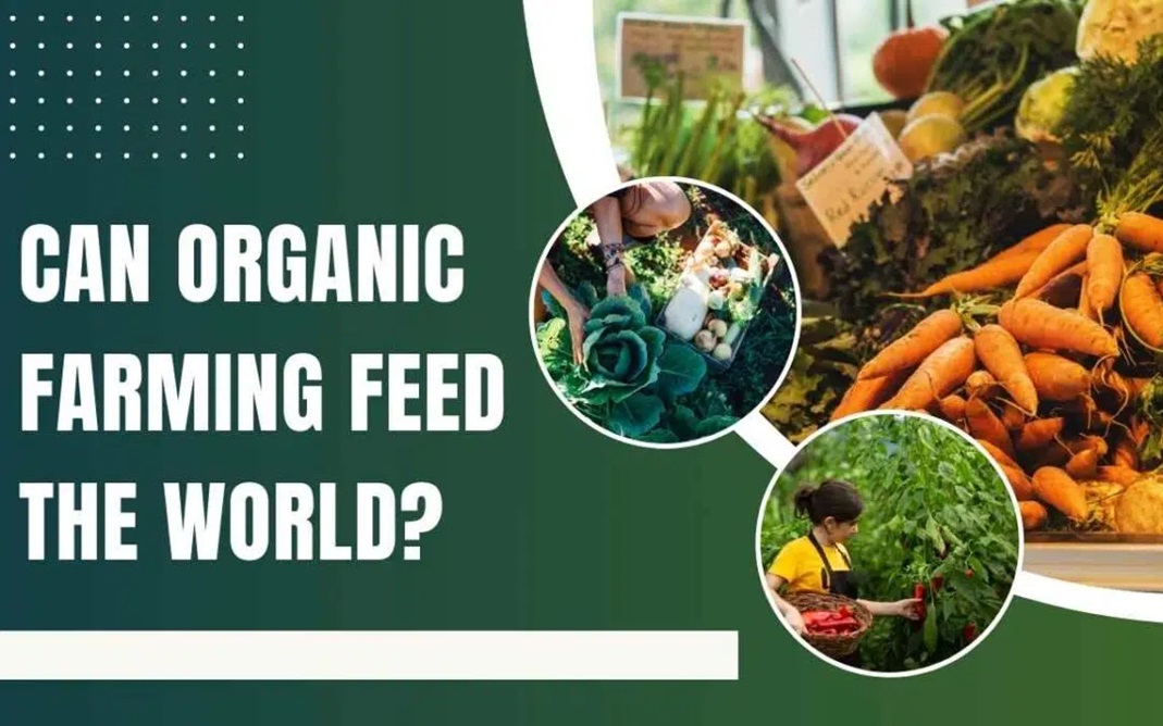 Can Organic Farming Feed The World?