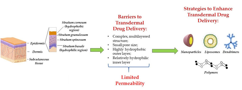 Research on the Application of Nanoformulation in Transdermal Drug Delivery System