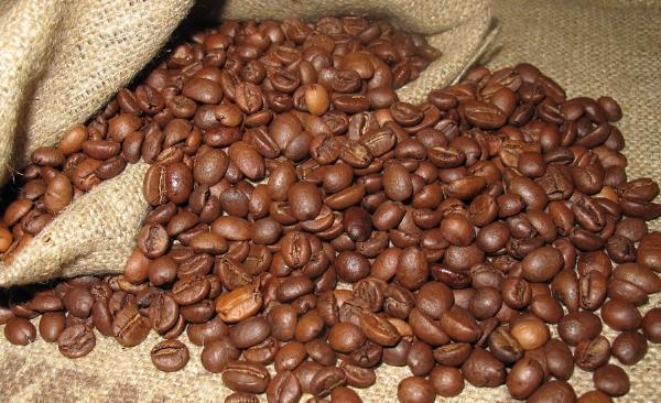 Organic Coffee Manufacturing Plant Project Report 2024: Comprehensive Business Plan, Manufacturing Process, and Cost Analysis