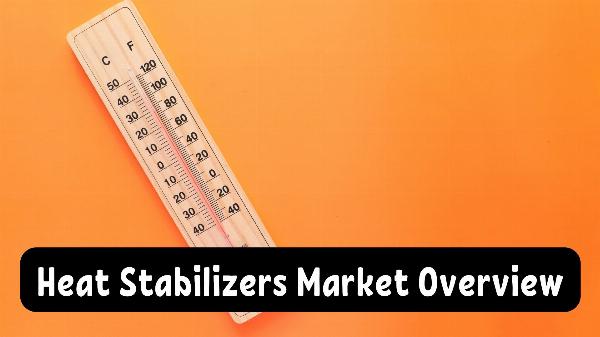 Heat Stabilizers Market Impact of Regulatory Frameworks: Compliance and Adaptation Strategies