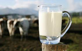 GCC Fresh Milk Market Size, Growth, Demand, Top Companies and Forecast Till 2028