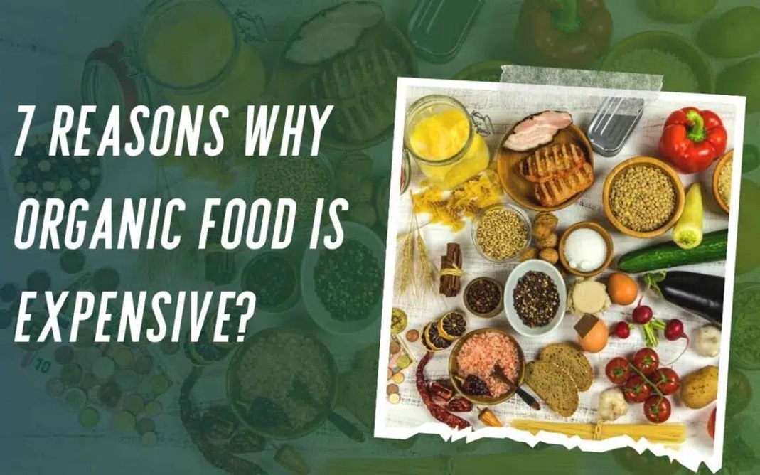 7 Reasons Why organic food is expensive?