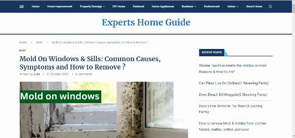 Window Mold Solutions: Causes, Prevention, and Safe Remediation