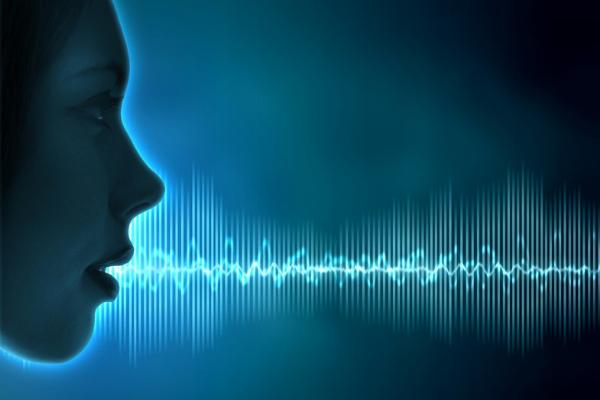 Speech Analytics Market Overview, Size, Industry Share, Growth, Trends, Forecast 2024-2032