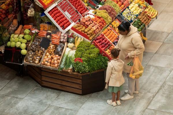 South East Asia Superfoods Market Size, Demand, Opportunity and Report 2024-2032