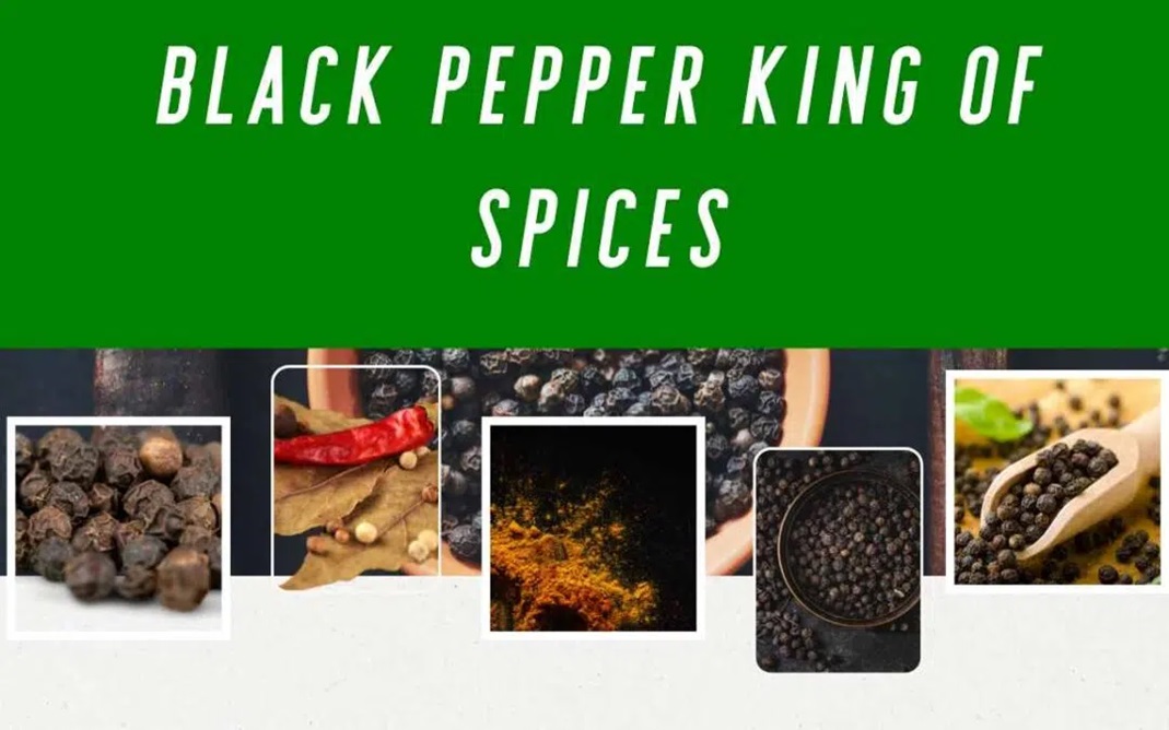 Celebrating the Reign of Black Pepper King of Spices
