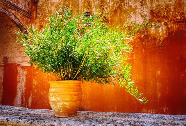 Courtyard Garden Planner: Traditional Indian Home Courtyard Design Guide