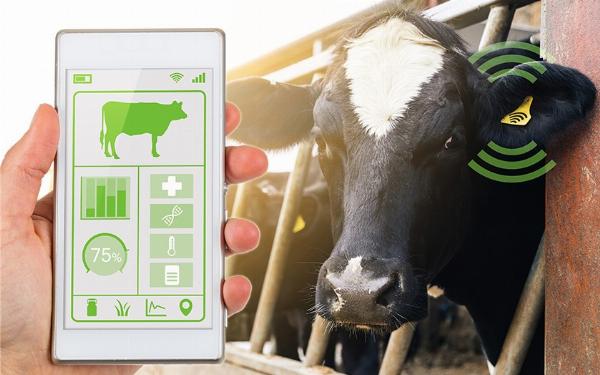 Livestock Monitoring Market Share, Share & Segmentation, Key Regional Analysis And Global Forecast 2024-2031