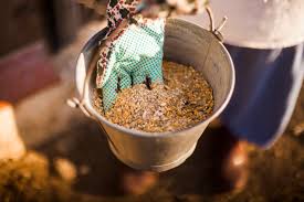 Cattle Feed Market Size, Demand, Trends, Forecast 2024-2032
