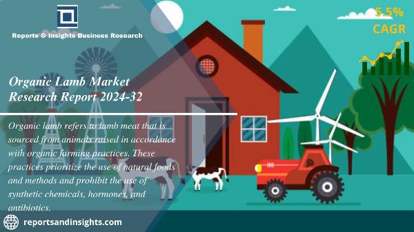 Organic Lamb Market Size, Analysis & Forecast 2024-32