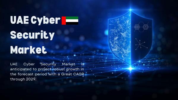 UAE Cyber Security Market: Strategic Insights for Stakeholders