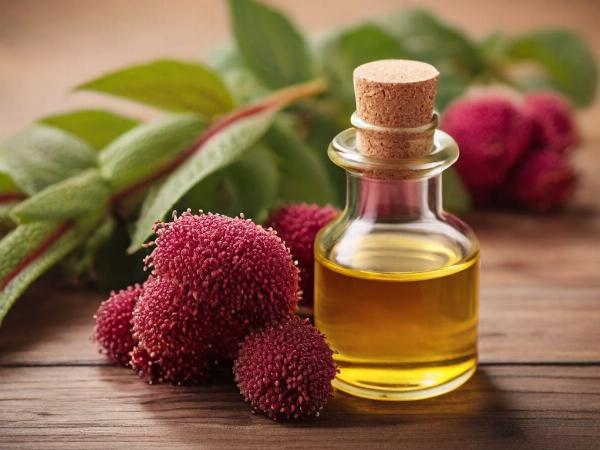 Amaranth Oil Processing Plant Report 2024: Raw Materials, Investment Opportunities, Cost and Revenue