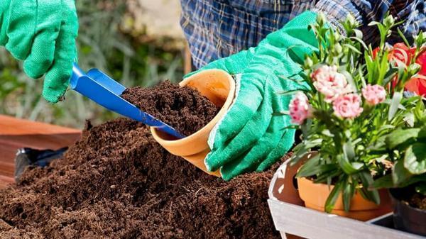 Coco Coir Market | Industry Outlook Research Report 2023-2032 By Value Market Research