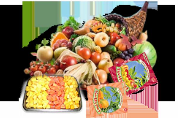 Food IQF Market Globally Expected to Drive Growth through 2033