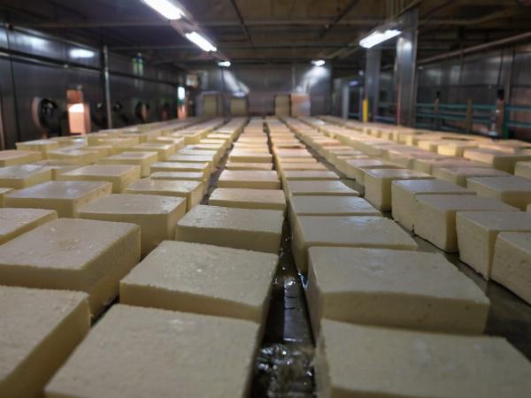 Tofu Manufacturing Plant Project Report 2024: Machinery, Raw Materials and Investment Opportunities