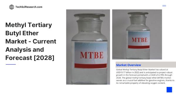 Methyl Tertiary Butyl Ether Market Trends [2028]- Exploring the Dynamics of Industry