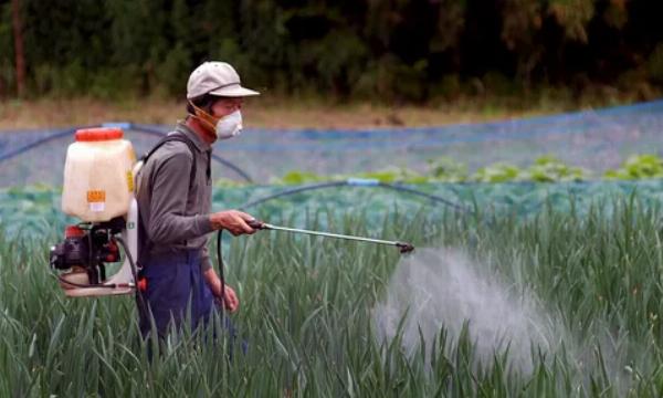 Aquatic Herbicides Market Size, Growth & Industry Research Report, 2032
