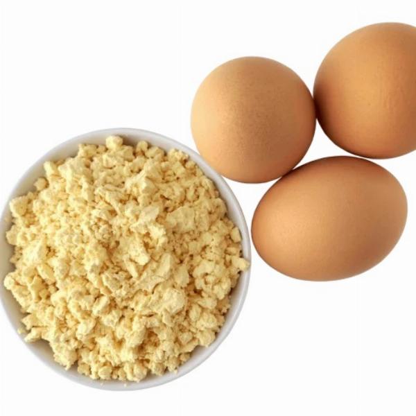 Whole Egg Powder Manufacturing Project Report 2024: Business Plan, Plant Setup, Cost Analysis and Machinery Requirements