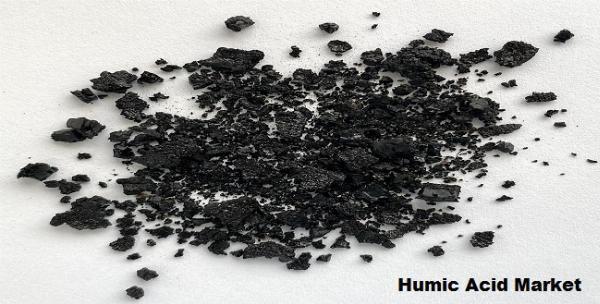 Humic Acid Market to Grow with a CAGR of 6.50% through 2028