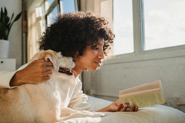 Why Doggy Day Care in Abu Dhabi is Essential for Working Pet Owners