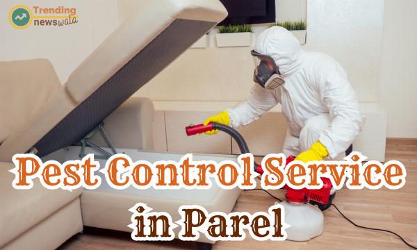 Preserving The Pioneering Pest Control Services in Parel at Your Service