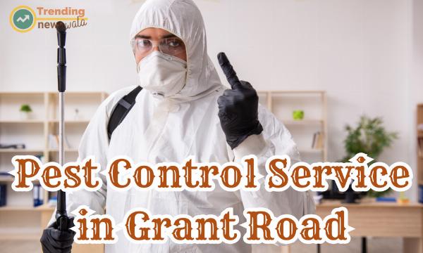 Professional Pest Control Services in Grant Road for a Pest-Free Community