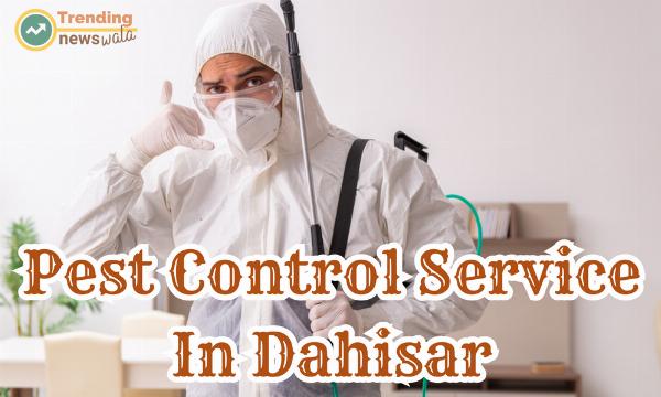 Are You Needs Professional Pest Control Services in Dahisar for a Healthy Community