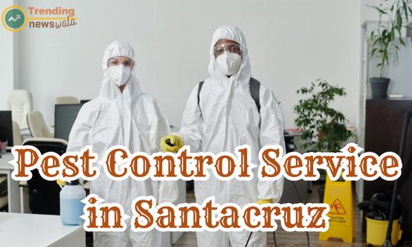 The Indispensable Role of Pest Control Services in Santacruz