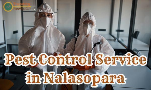 One of the Best Pest Control Services in Nalasopara