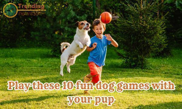 Unleash the Fun: 10 Entertaining Dog Games to Play with Your Pup