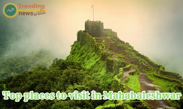 Are You Looking for Top places to visit in Mahabaleshwar