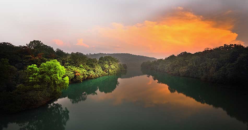 Unlocking Your Perfect Homestay Experience In Dandeli: A Comprehensive Guide