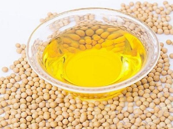 Soybean Oil Prices Trend, Monitor, News & Forecast | ChemAnalyst