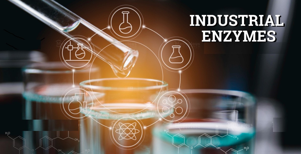 Industrial Enzymes Market Size, Share, Growth Opportunity & Global Forecast to 2032