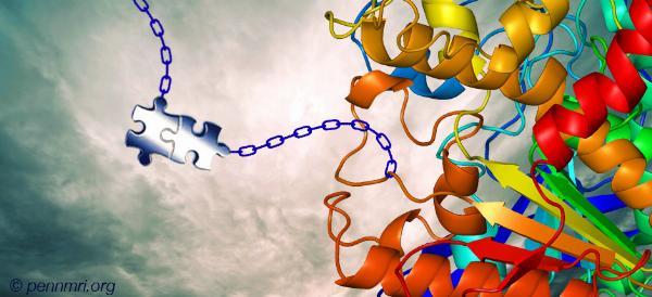 Protein Labeling Market Size, Demand, Trends, Outlook, and Report 2024-2032
