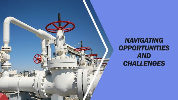 India Industrial Valves Market: Size, Share, and In-Depth Competitive Analysis Toward 2028