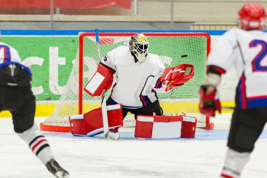 Ice Hockey Equipment Market Share, Trends, Cost Analysis, Report 2024-2032