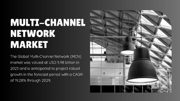 Multi-Channel Network Market: Assessing Growth Potential and Market Share