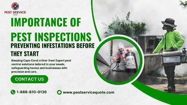 Importance of Pest Inspections: Preventing Infestations Before They Start